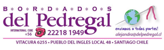del Pedregal